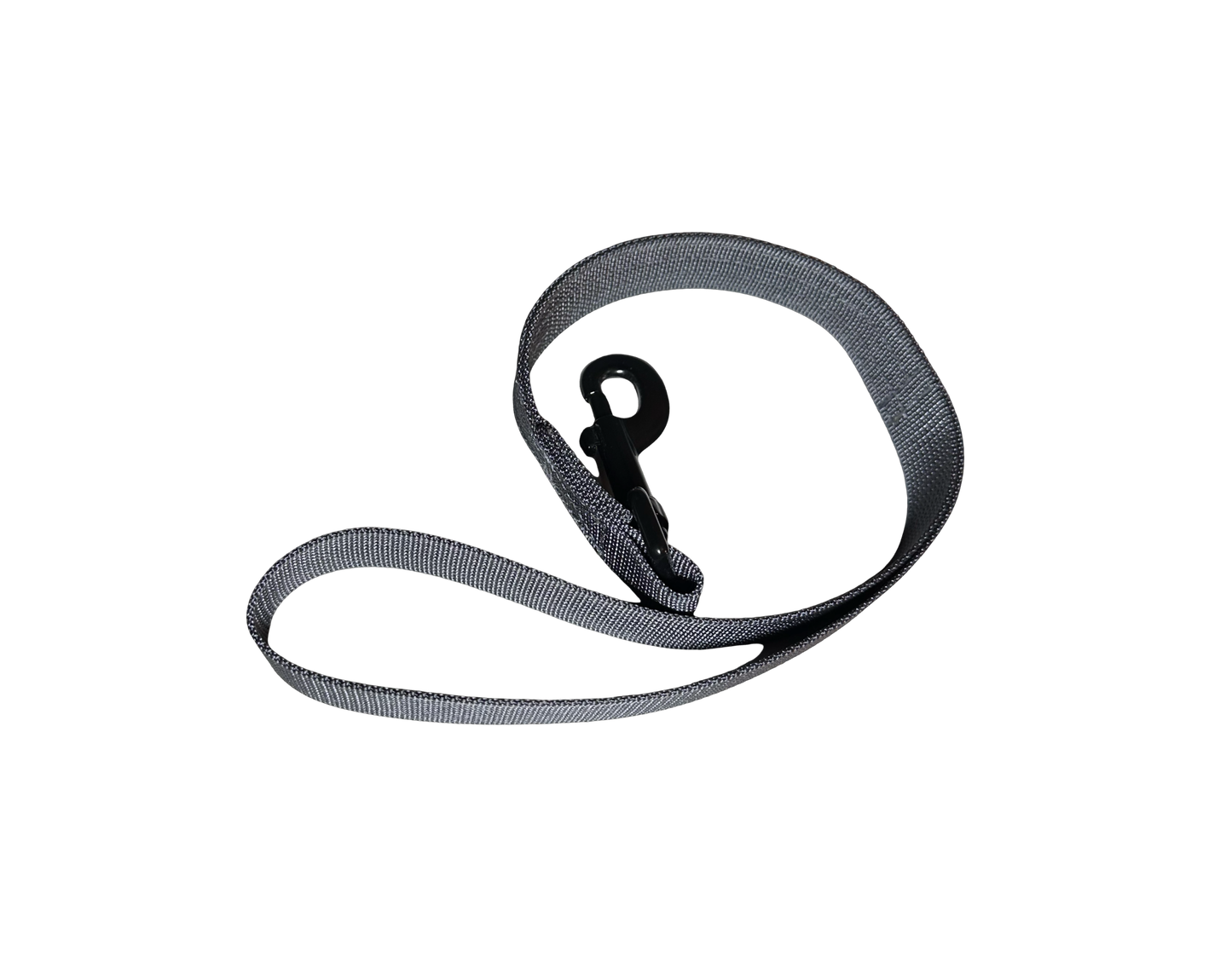 Short leash bird dog project